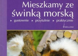 nowe zdjęcie